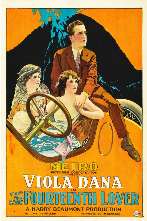 Póster de The Fourteenth Lover