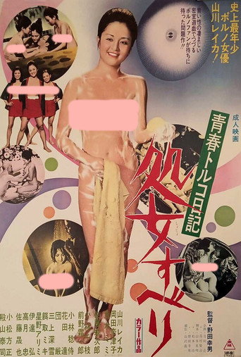 Póster de 青春トルコ日記 処女すべり