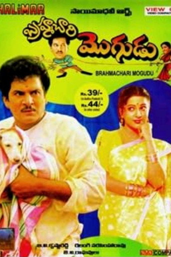Póster de బ్రహ్మచారి మొగుడు
