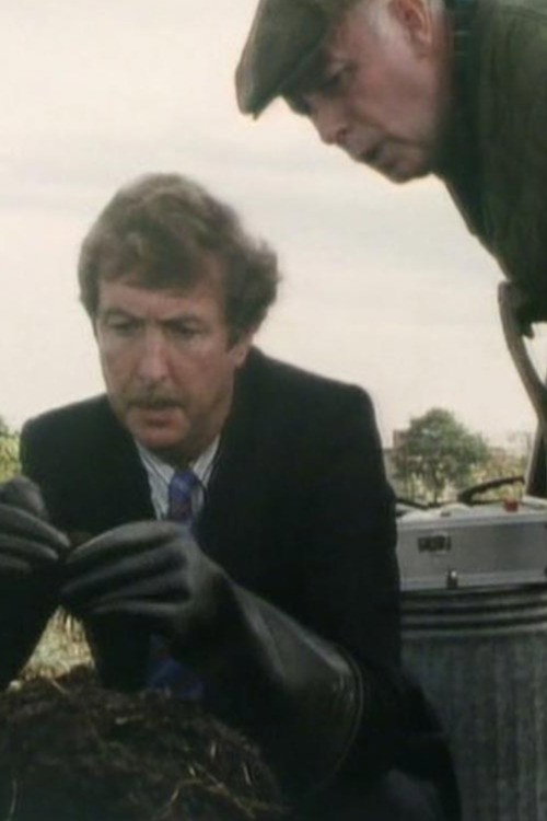 Póster de One Foot in the Grave: The Man In The Long Black Coat