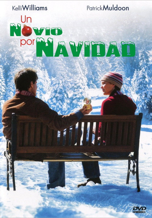 Póster de A Boyfriend for Christmas