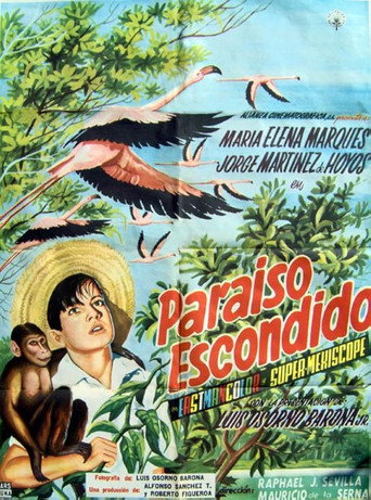 Póster de Paraíso escondido
