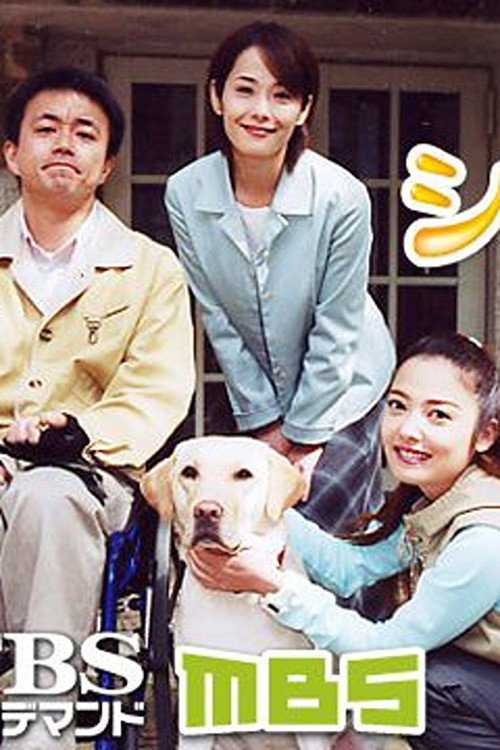 Póster de シンシア 〜介助犬誕生ものがたり〜