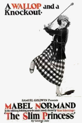 Póster de The Slim Princess