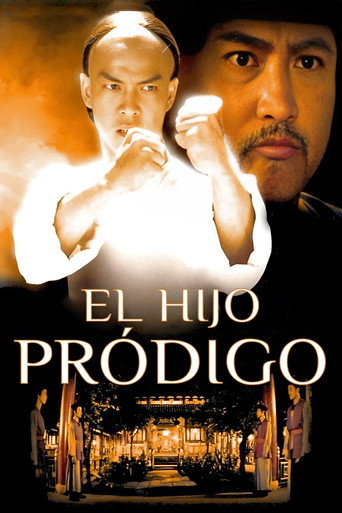 Póster de 敗家仔