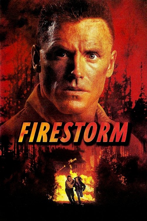 Póster de Firestorm