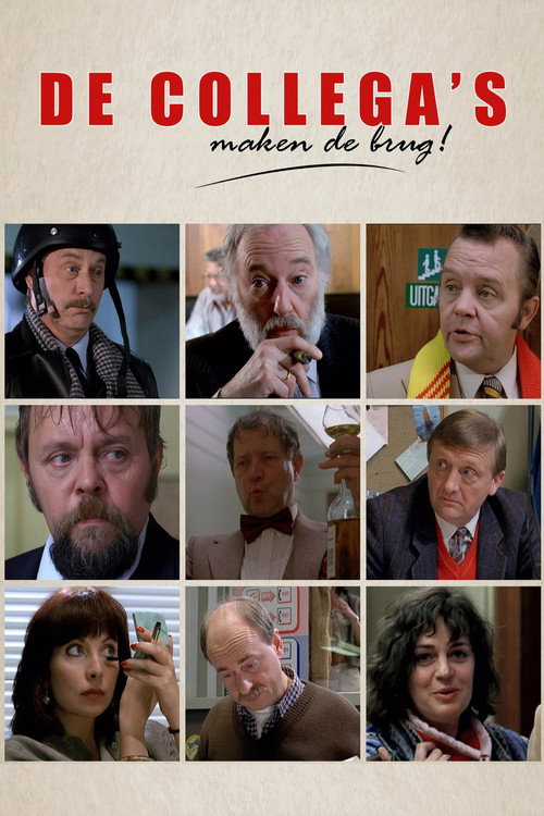 Póster de De kollega's maken de brug