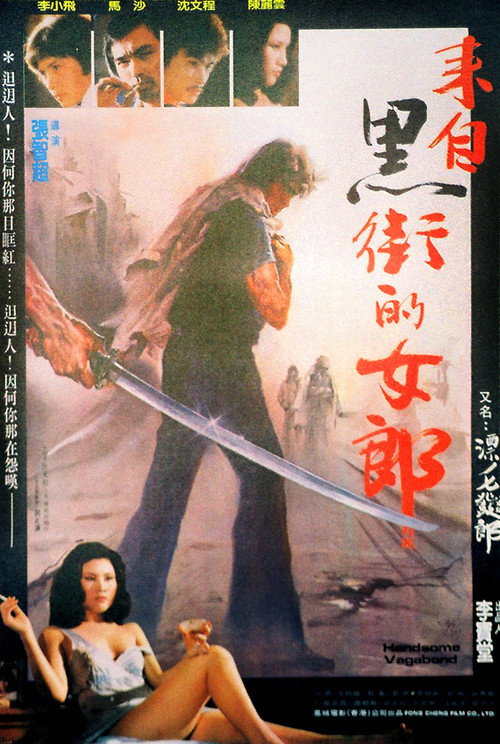 Póster de Handsome Vagabond