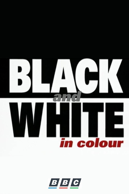 Póster de Black and White in Colour