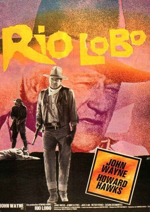 Póster de Rio Lobo