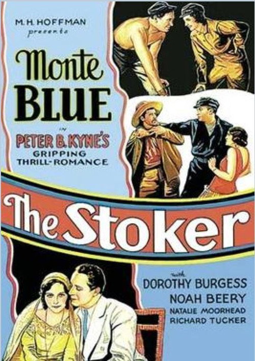 Póster de The Stoker