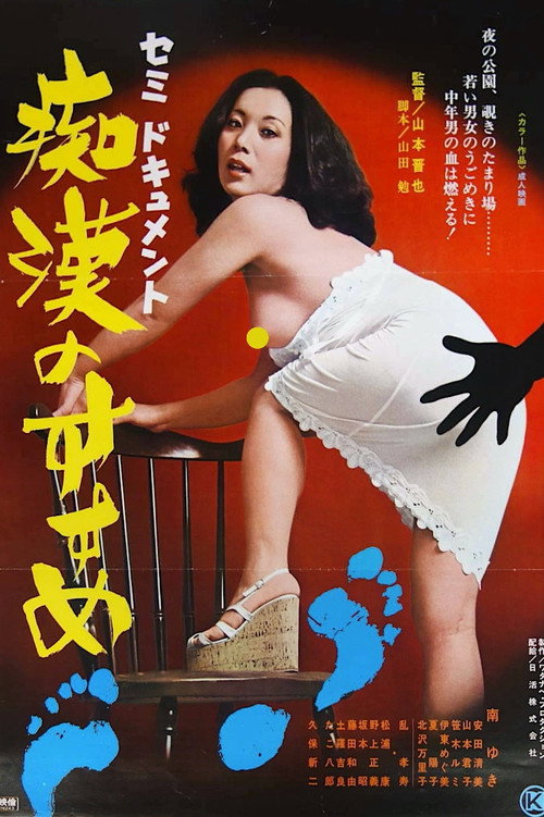 Póster de セミドキュメント　痴漢のすすめ
