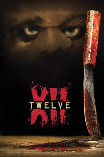 Póster de XII