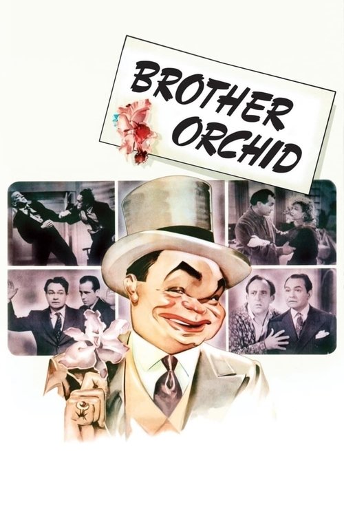 Póster de Brother Orchid