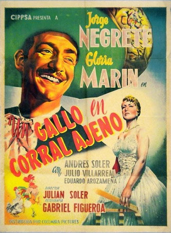 Póster de Un gallo en corral ajeno