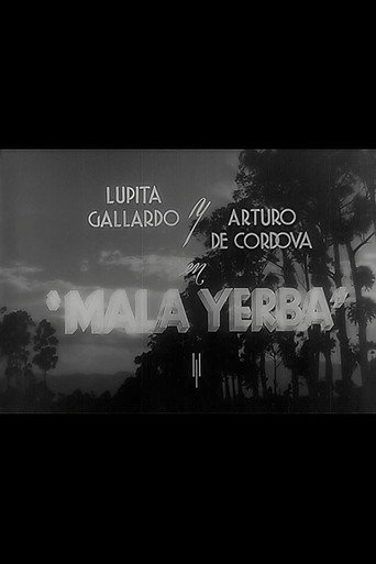 Póster de Mala yerba