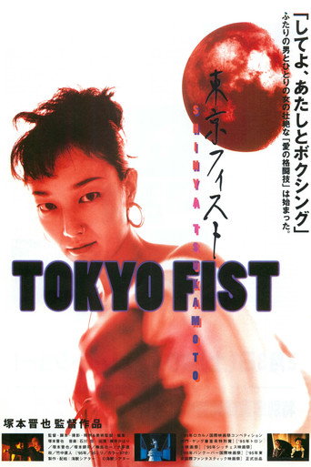 Póster de Tokyo Fist
