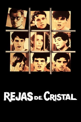 Póster de Mery per sempre