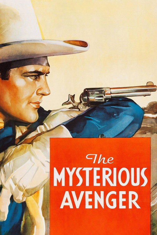 Póster de The Mysterious Avenger