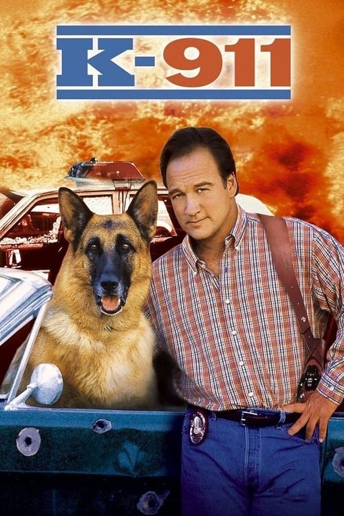 Póster de Superagente K-911