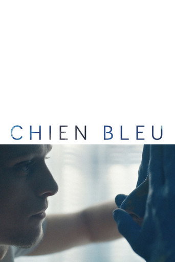 Póster de Chien bleu