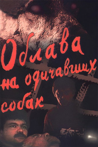 Póster de Облава на одичавших собак