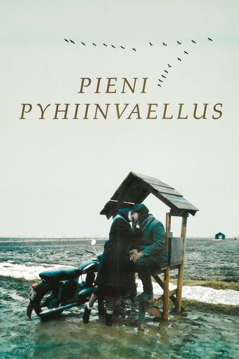 Póster de Pieni pyhiinvaellus