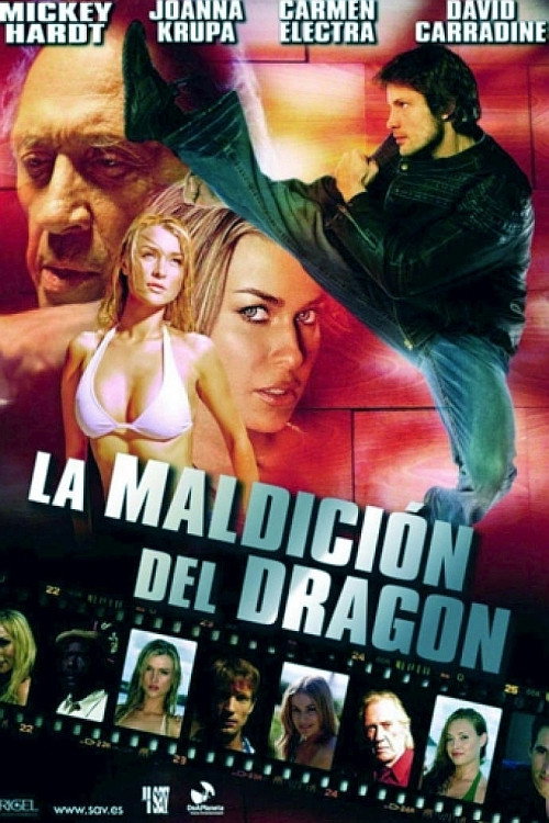 Póster de Max Havoc: Curse Of The Dragon