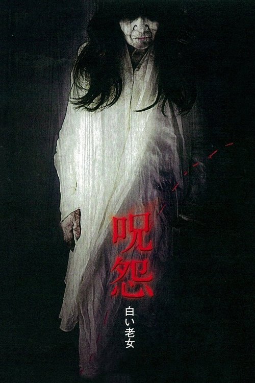 Póster de Ju-on: White Ghost
