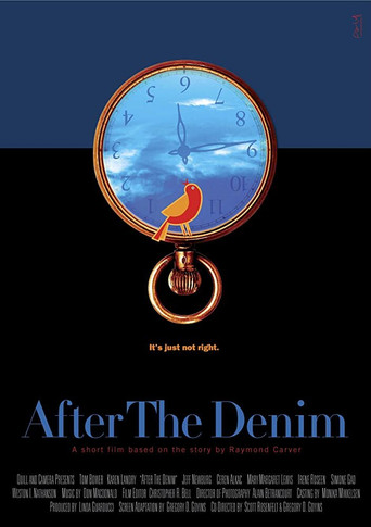 Póster de After the Denim
