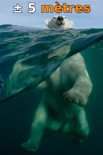 Póster de À ± 5 mètres de la surface des océans