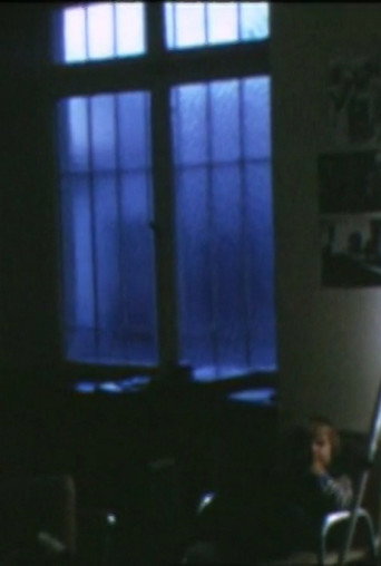 Póster de Home Movies 1971-81