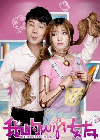 Póster de 我的WiFi女友