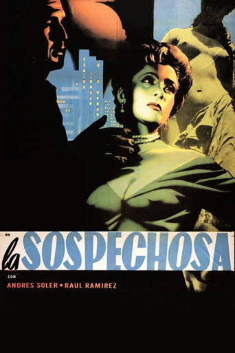 Póster de La sospechosa