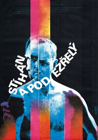 Póster de Stíhán a podezřelý