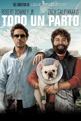 Póster de Todo un parto