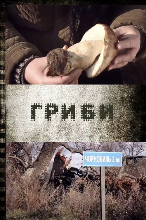 Póster de Гриби