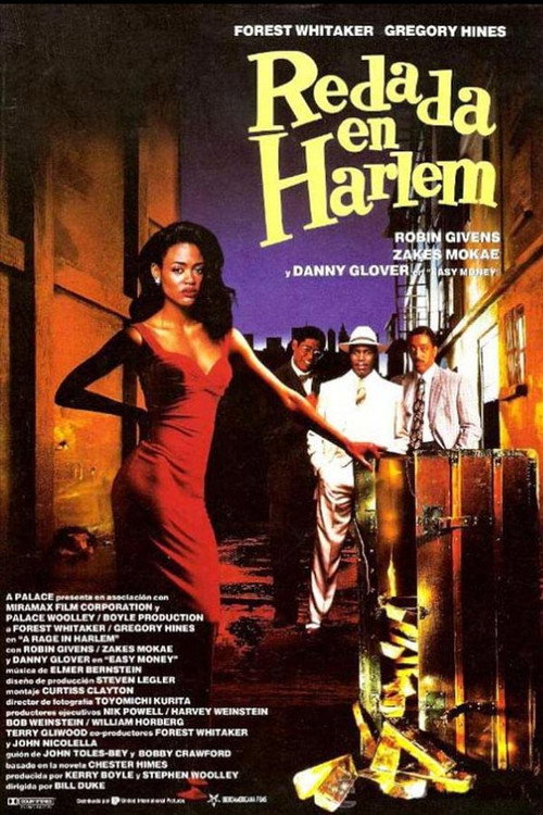 Póster de A Rage in Harlem