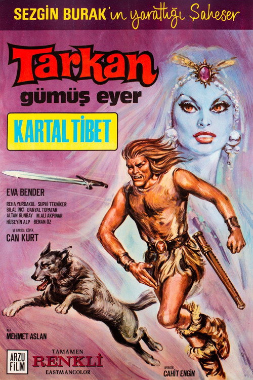 Póster de Tarkan: Gümüş Eyer