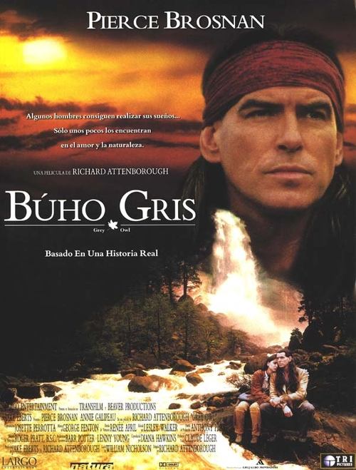 Póster de Grey Owl