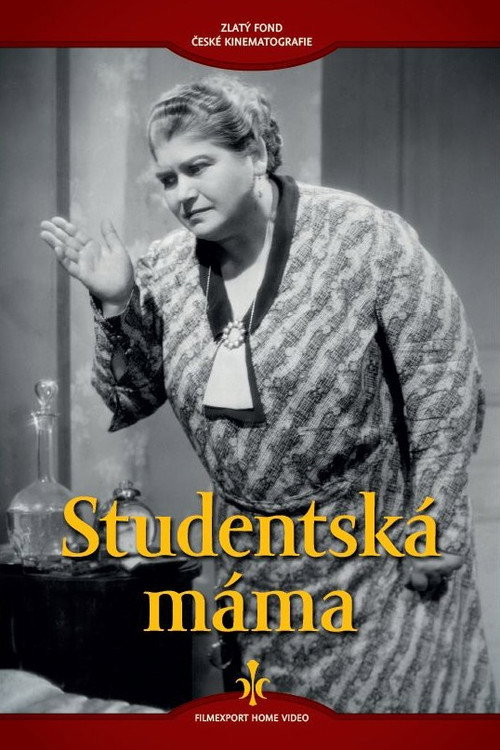 Póster de Studentská máma