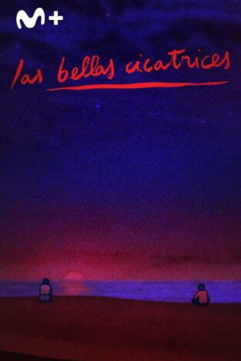 Póster de Les Belles Cicatrices