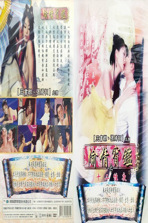 Póster de 偷情宝鉴之欲海无涯