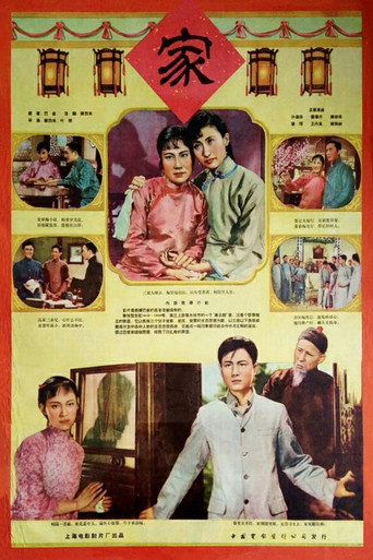Póster de 家