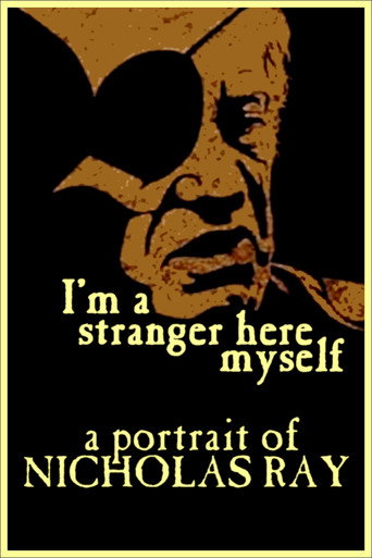 Póster de I'm a Stranger Here Myself