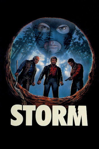 Póster de Storm