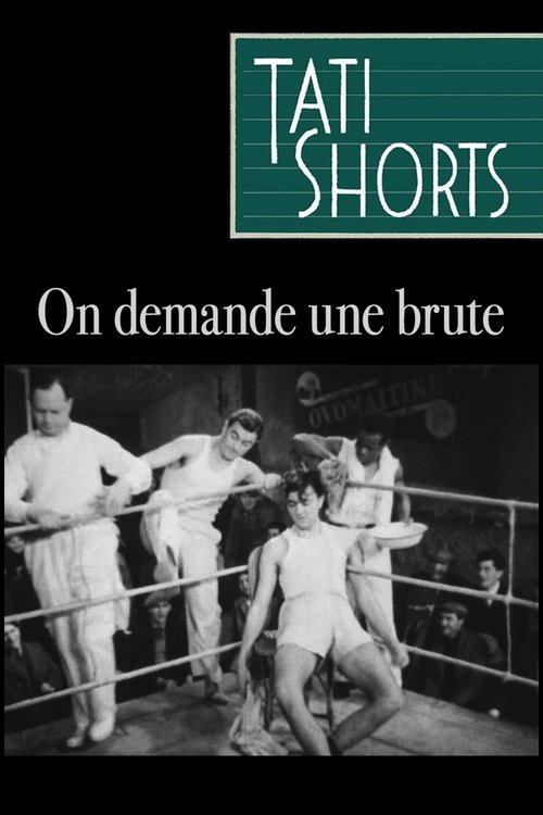 Póster de On demande une brute