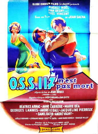 Póster de O.S.S. 117 n'est pas mort