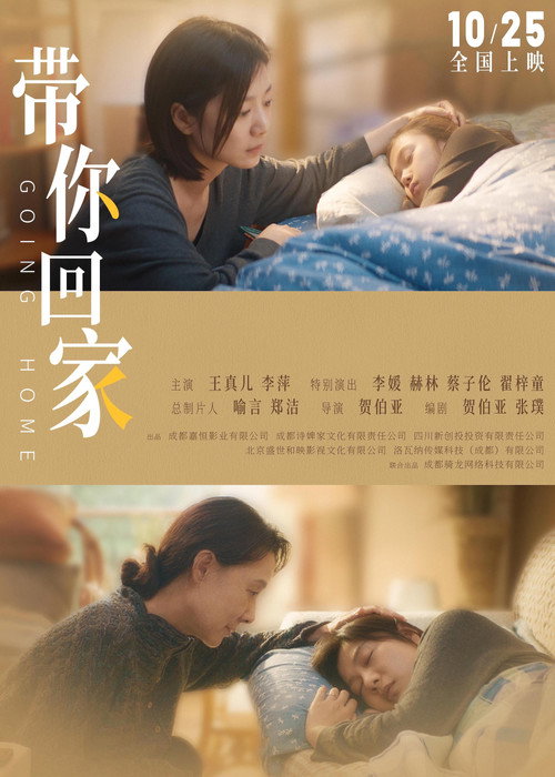 Póster de 带你回家