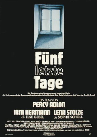 Póster de Fünf letzte Tage